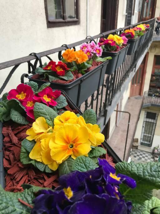 Perfect Location,newly Decorated Modern, Large Place 60 M2, Really Quiet So Have A Good Night Sleep, Ac, Netflix, Smart Tv, High-speed Internet, World Famous New York Cafe Only 10 Minutes Walk * Будапешт